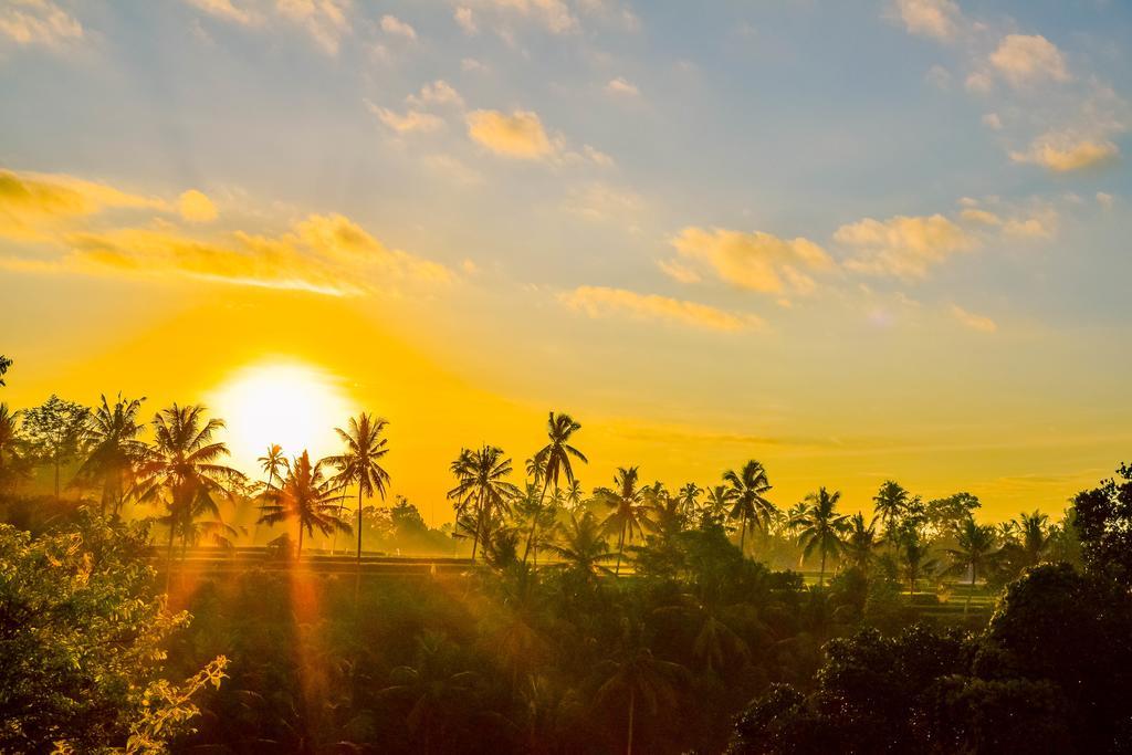 Griya Sriwedari Hotell Ubud Eksteriør bilde