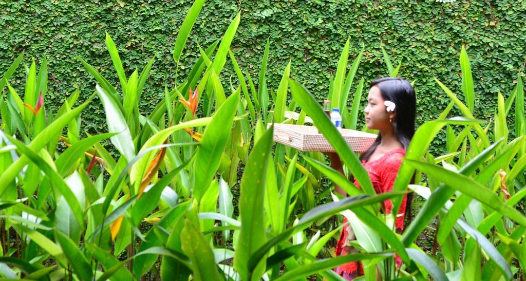 Griya Sriwedari Hotell Ubud Eksteriør bilde