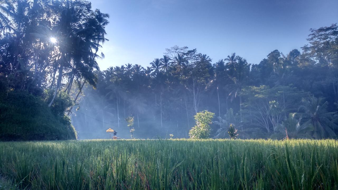 Griya Sriwedari Hotell Ubud Eksteriør bilde