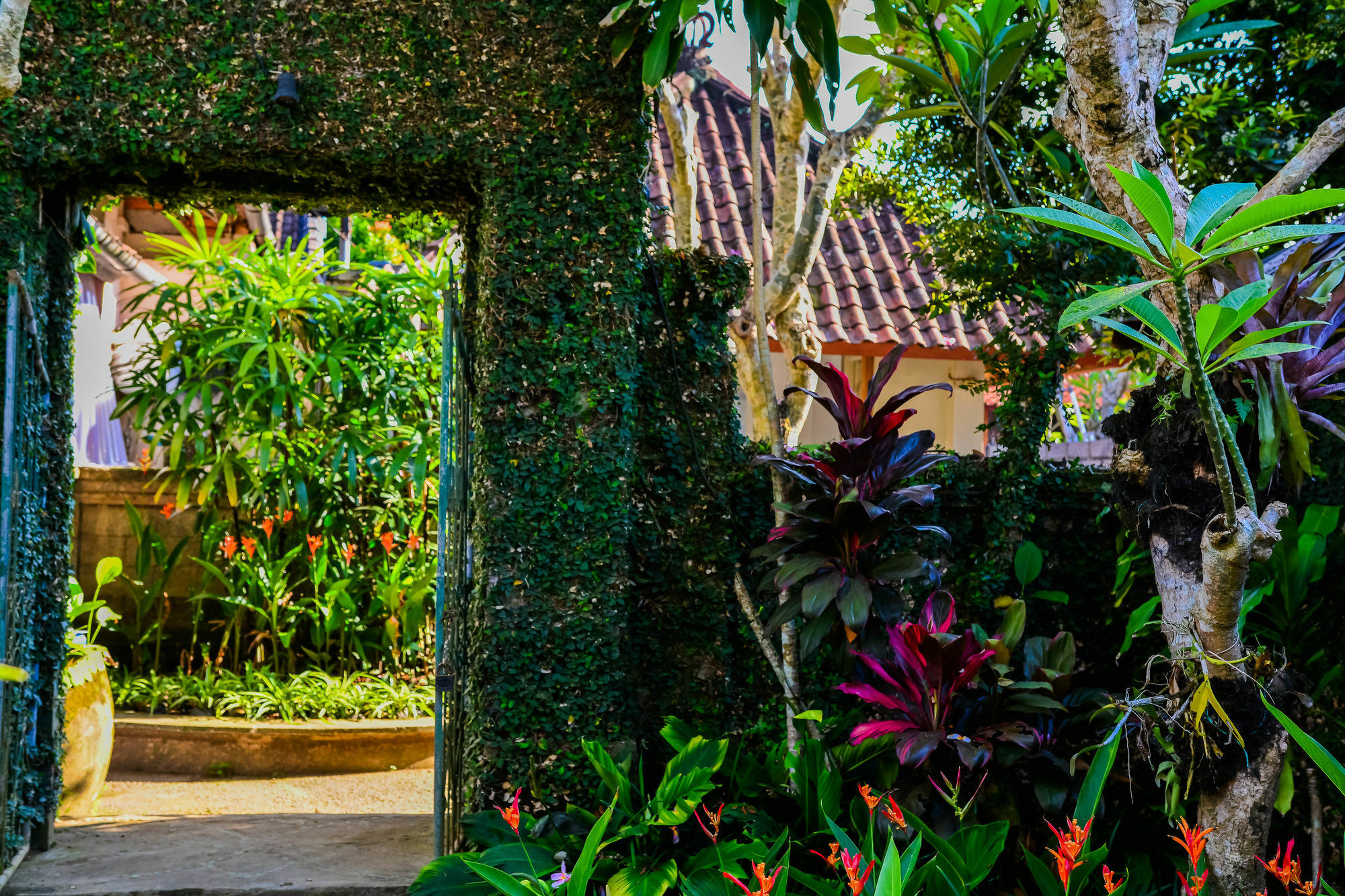 Griya Sriwedari Hotell Ubud Eksteriør bilde