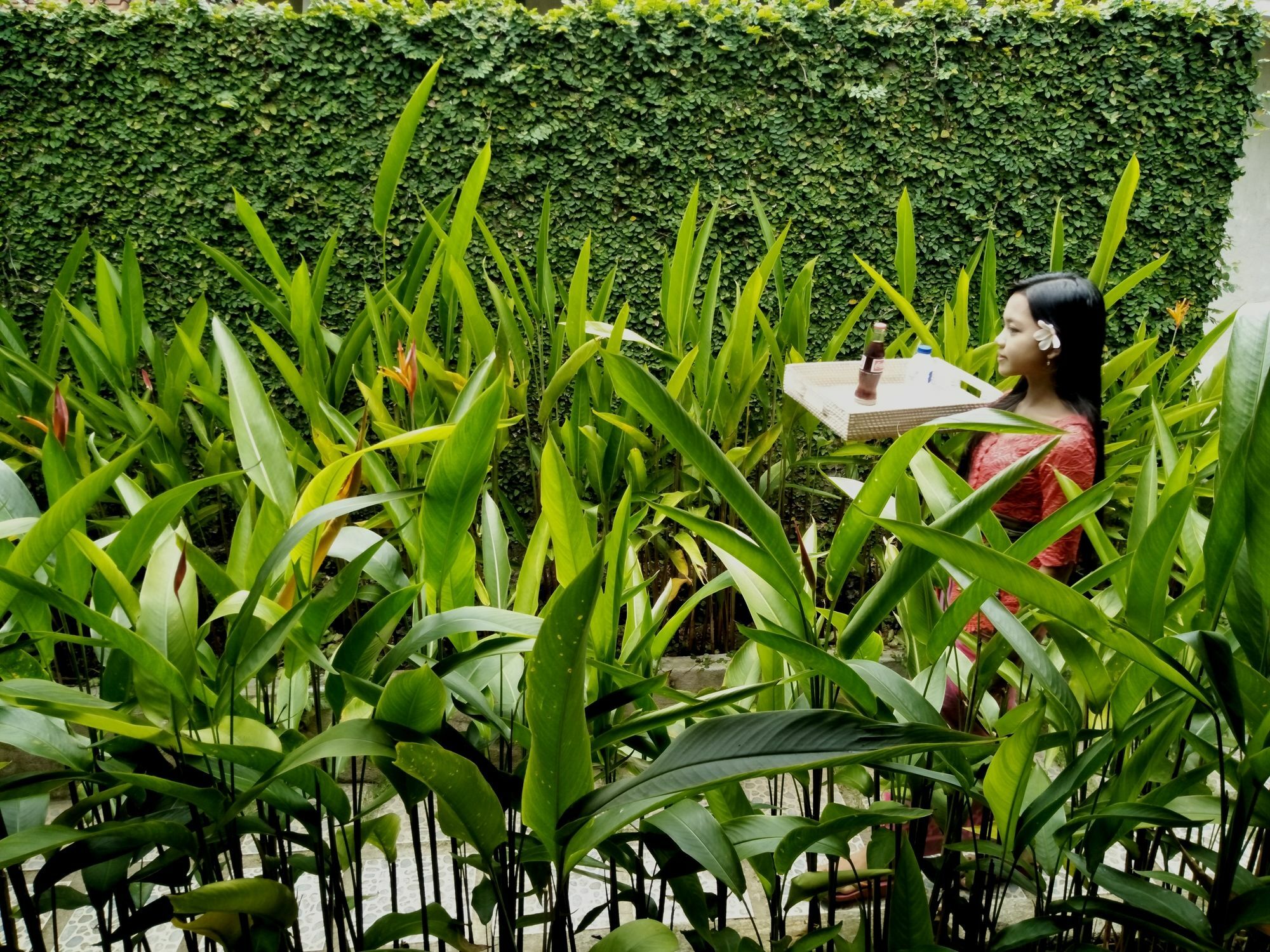 Griya Sriwedari Hotell Ubud Eksteriør bilde